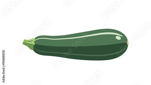 Vibrant green zucchini vegetable illustration fresh organic garden produce healthy eating concept