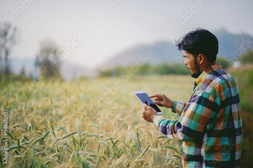 Barley fields, sustainable agriculture practices, and pre-harvest checks by a new generation of farmers who take pride in their successful work.