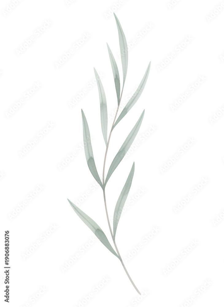 Fototapeta premium Simple green watercolor branch with leaves illustration on white background. Minimalist botanical design element for wedding invitation.