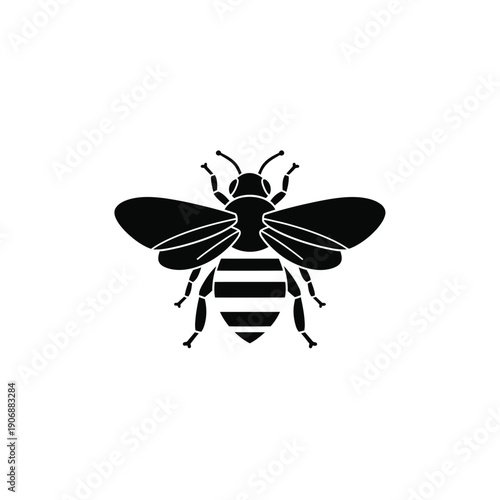 Bee icon, detailed insect illustration, simple black and white vector graphic of flying animal