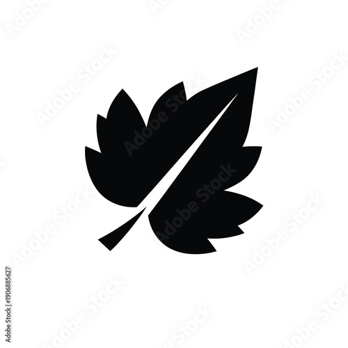 Black silhouette of single autumn leaf with pointed lobes and central vein for nature design