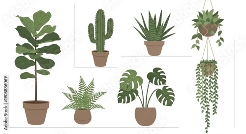 Collection of various potted houseplants and hanging plants.