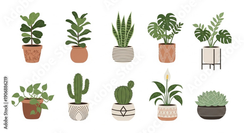 Collection of various potted houseplants in decorative pots.