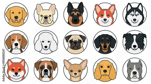 Set of fifteen dog breed head icons in a clean, flat cartoon style, showing a variety of popular domestic pets like corgis, huskies, and bulldogs for veterinary or pet care