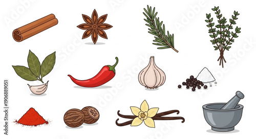 Collection of various spices and herbs for cooking and seasoning.