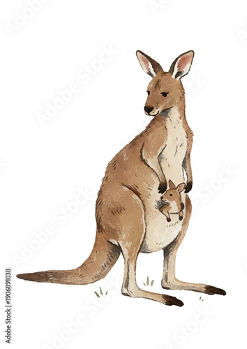 kangaroo and baby／カンガルー・親子