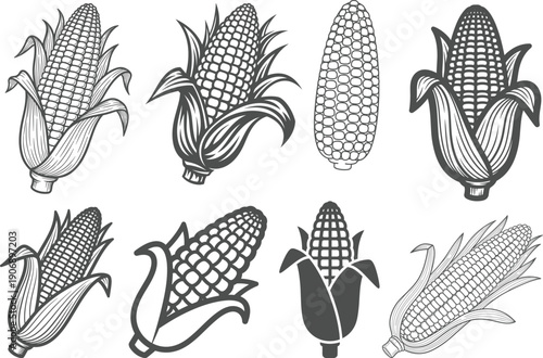 Corn Cob Illustration Collection Maize Vegetable Botanical Line Art Vector Set for Agriculture Sticker Tshirt Print