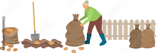 People on a farm. An elderly woman harvesting potatoes. Agriculture, farm work. Vector, isolated