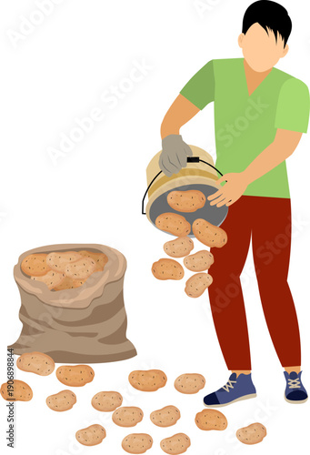 People on a farm. A man pours the harvested potato crop out of a bucket. Agriculture, farm work. Vector, isolated