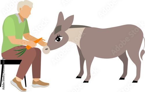 People on a farm. A man sits and feeds a donkey carrots. Agriculture, farm work. Vector, isolated