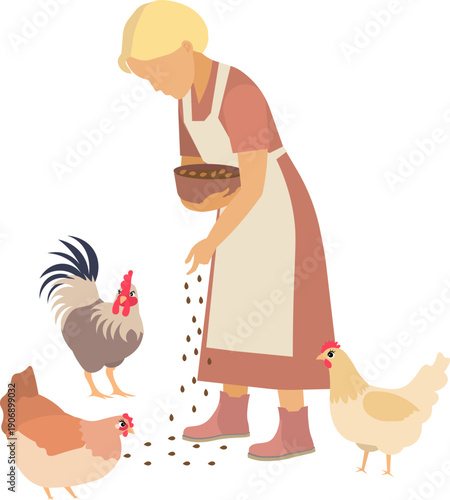 People on a farm. A woman feeds the hens and the rooster. Agriculture, farm work. Vector, isolated