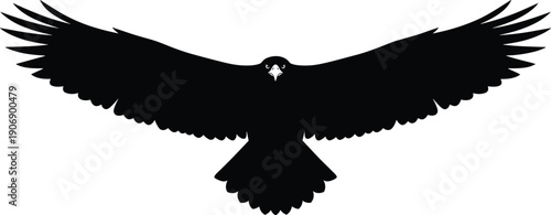 Majestic bird silhouette in flight with wings fully extended, black and white graphic illustration symbolizing freedom, strength, and natural wildlife design