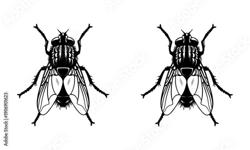 Black silhouette vector