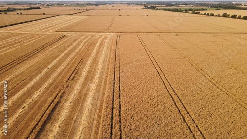 Wallpaper Mural Minimalist 3D Gray Cloud Icon Symbol for Data Storage, Cloud Computing Technology, Network Service, or Weather Application Isolated on White Background Torontodigital.ca