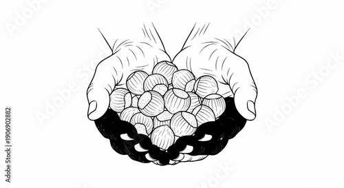 Hands cup a pile of striped nuts with dark shadow beneath