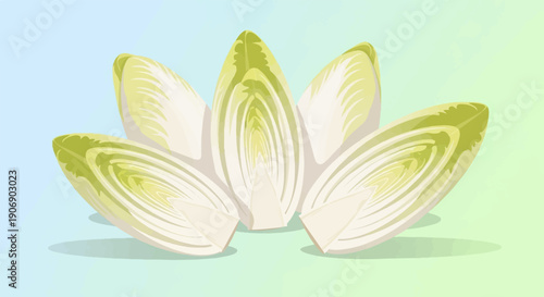 Four sliced chicory vegetables arranged in a fan on a pastel gradient background