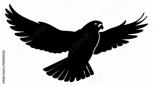 Black bird flying with wings spread wide