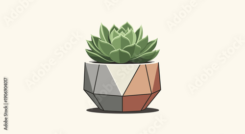 A detailed succulent plant displaying thick, green, layered leaves forming a compact rosette, housed within a multicolored geometric pot, presented on a soft, pale cream background.