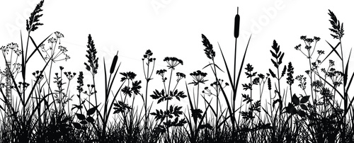 Detailed Black Silhouette Vector Illustration of Wild Meadow Flowers and Grass with Reeds for Nature Landscape Garden and Environmental Background Graphic Designs