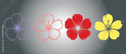 Colorful floral illustrations of four different flowers on gray background