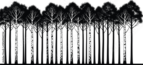 Stylized forest landscape, tall tree silhouettes, dark , symmetry, woodland scenery, flat vector illustration