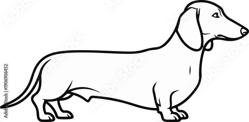 Line drawing of a dog with long body and short legs