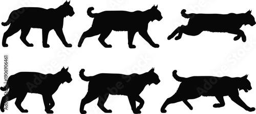 Black silhouette illustrations of lynx walking and running in motion sequence, perfect for wildlife studies, animal locomotion, animation references, biological design, and vector artwork.