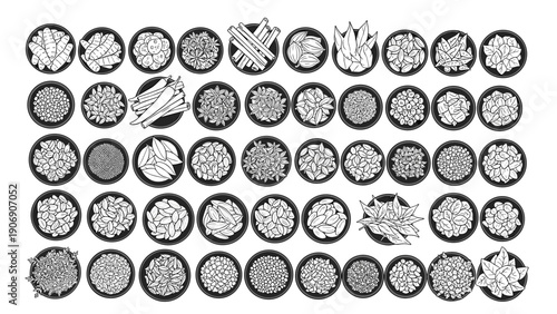 Monochrome collection of diverse spices and herbs in bowls