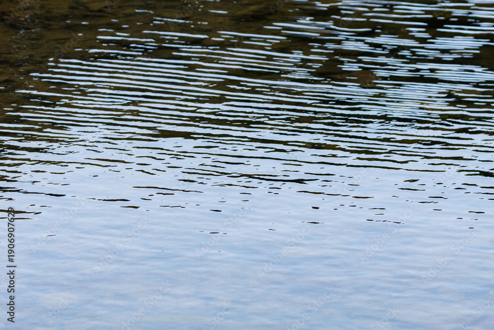 Obraz premium 強く吹く風で起こる川の波紋