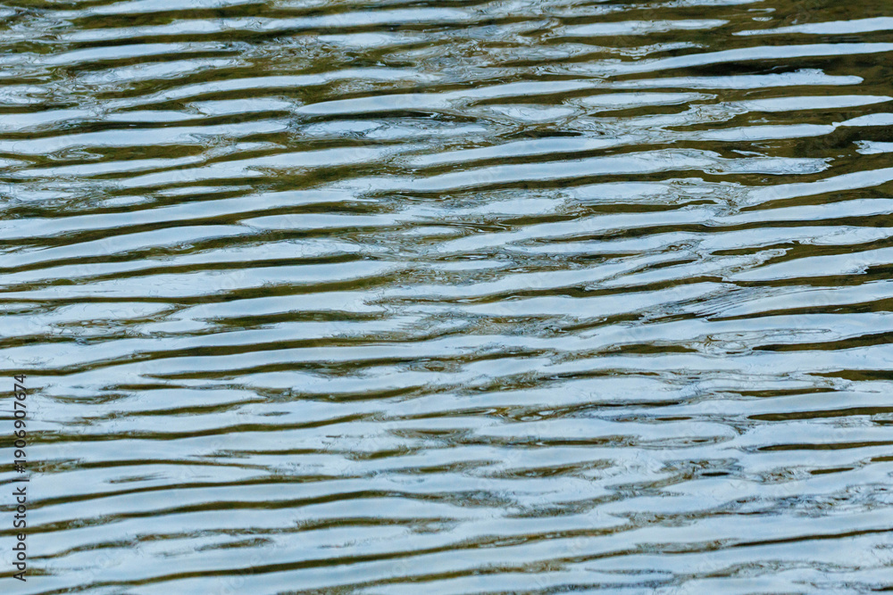 Obraz premium 強く吹く風で起こる川の波紋