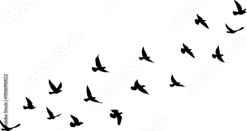 Flying birds silhouettes pattern wallpaper. PNG transparent. isolated bird flying. tattoo design. template for card, package, and wallpaper.
