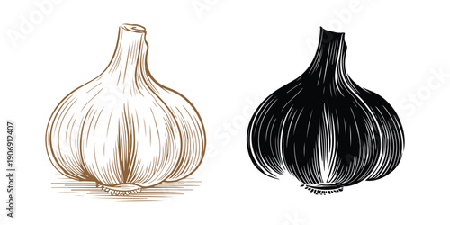 Two detailed illustrations of bulbs on white background side by side