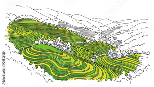 Colorful contour lines of terraced fields and mountain landscape