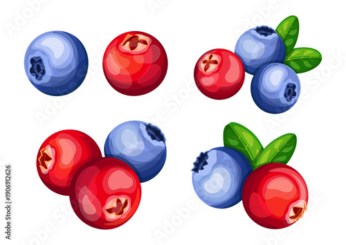 A bunch of fresh cranberries and blueberries in a cartoon style. Vector illustration of juicy, tasty, healthy cranberries and blueberries with green leaves isolated on a white background.