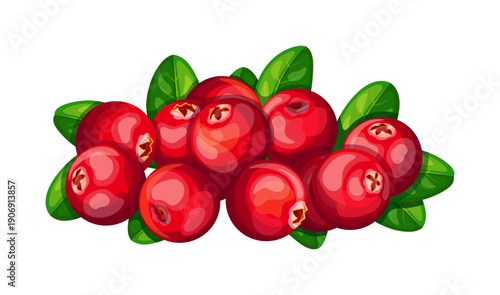 A pile of juicy red cranberries in a cartoon style. Vector illustration of a bunch of tasty, healthy cranberry berries with green leaves isolated on a white background. 