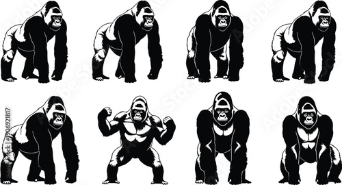 Powerful gorilla silhouette collection, muscular ape poses, wild animal illustration set, isolated black vector design, strength, jungle, wildlife, mascot, tattoo, graphic