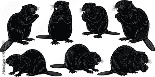 Beaver silhouette collection, wild rodent animal poses set, black woodland mammal illustration isolated on white background nature wildlife vector design