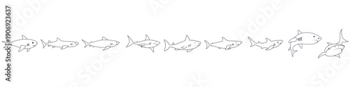 Shark vector icon set. Fish Illustration sign collection. Ocean life symbol or logo. Design for web and app.