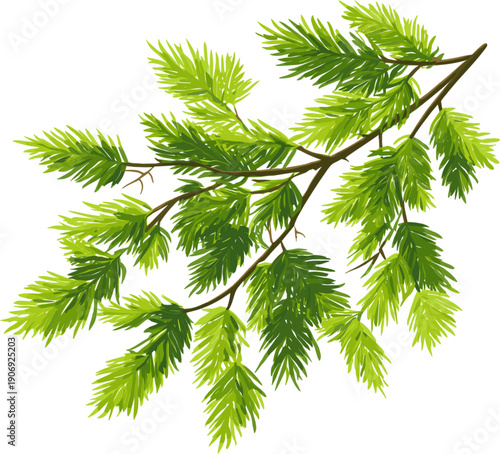 Pine tree twigs, a simple flat vector illustration with a white background