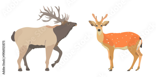 Photography Vector hand drawn illustration set of cartoon deer and red elk