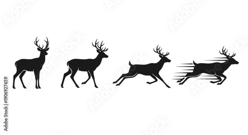Deer Silhouette Collection Showing Different Poses and Motion.