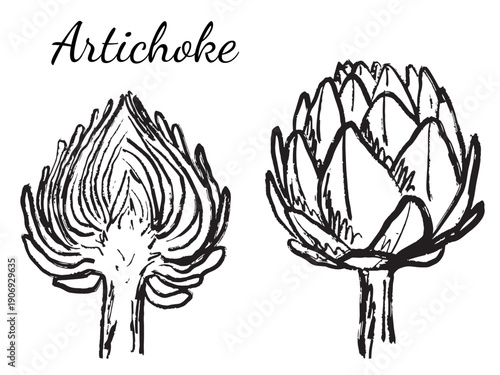 Artichoke set with whole and half sliced in black brush stroke texture isolated on white. Hand drawn vector sketch illustration in vintage charcoal ink. Vegetable design, harvest, crop, plant