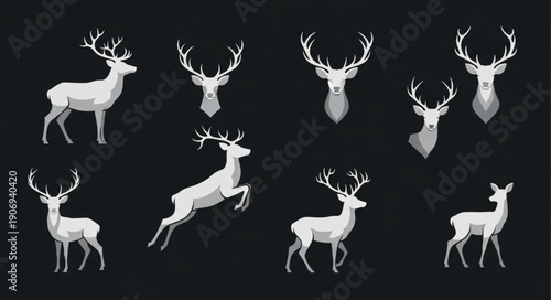Collection of White Deer Illustrations in Various Poses.