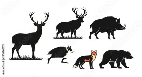 Collection of Wild Animal Silhouettes and Illustrations.