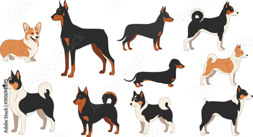 Cute Dog Cartoon Illustration Set with Multiple Popular Breeds, Different Standing and Walking Poses, Friendly Canine Pets, and Clean Flat Vector Style
