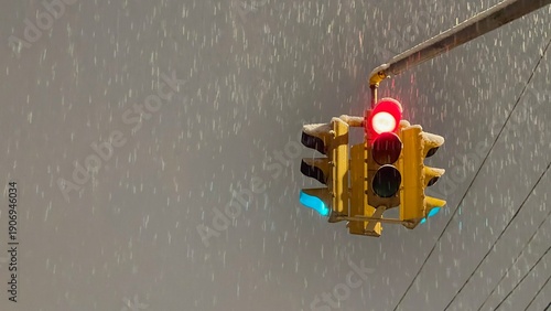 a traffic light in a snow storm