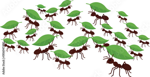 Ants carrying leaves in a coordinated effort across a plain white background from a top-down viewpoint