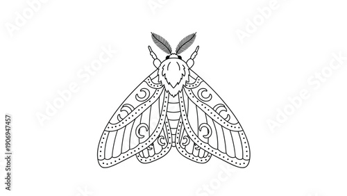 Detailed black and white line art illustration of a moth with symmetrical patterns on its wings and feathery antennae.