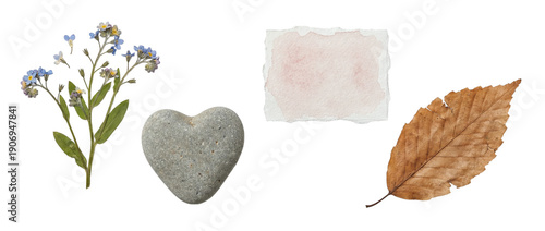 Photos Blue forget-me-not flowers with a heart-shaped stone, soft pink watercolor paper piece and dried leaf, botanical collage elements on a transparent background