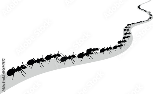 A line of ants marching in a curved path on a gray surface viewed from above in a simple illustration